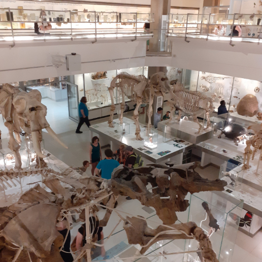 Cambridge University Museum of Zoology Cambridge University Museum of Zoology
